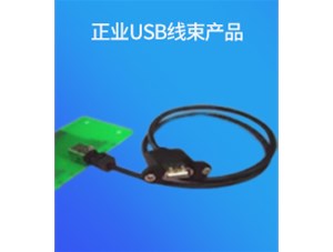 正业USB线束产品